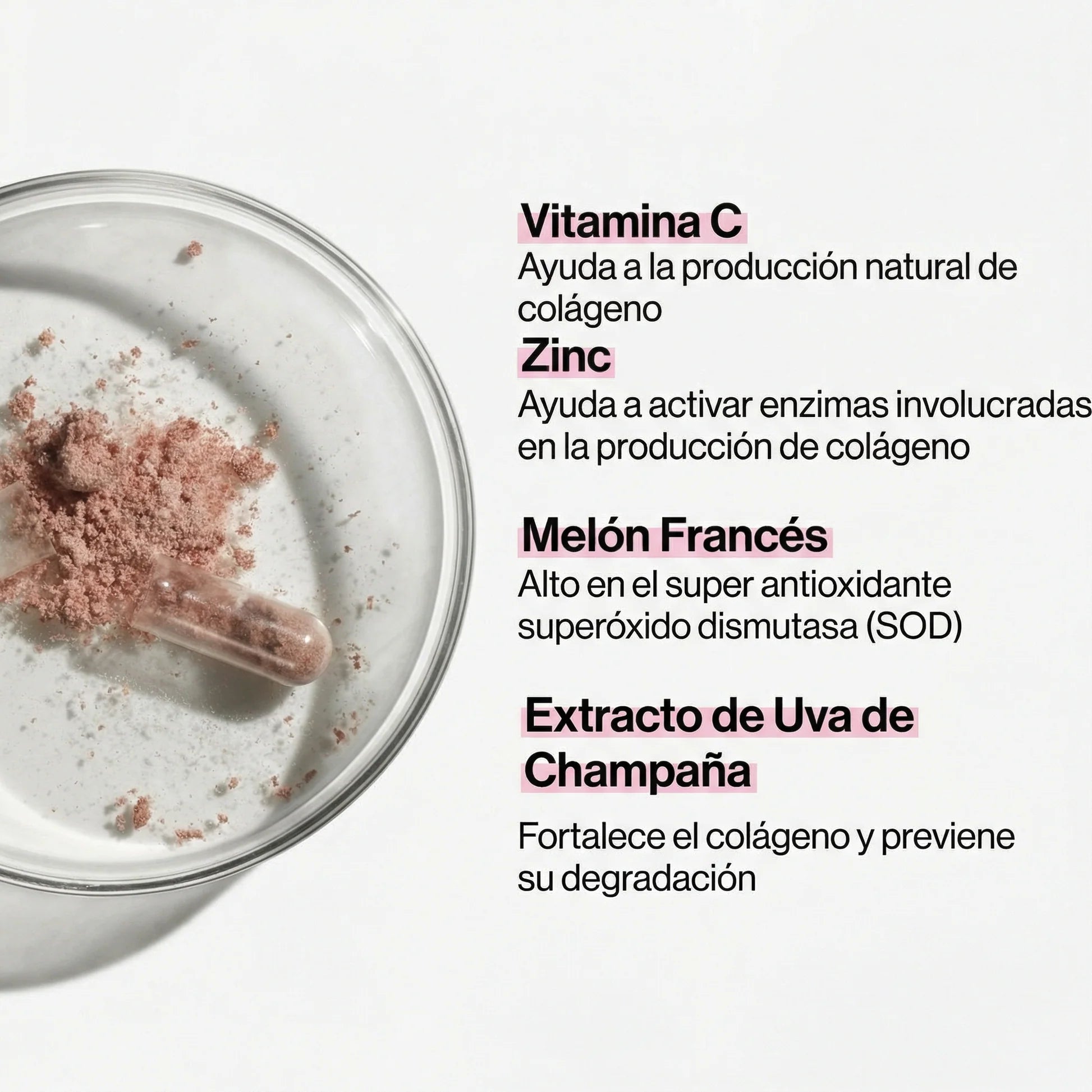 Skin Collagen Support